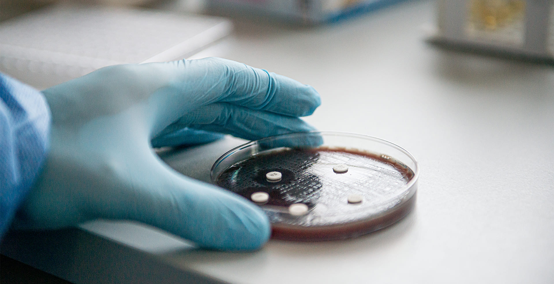 Laboratorio Corregidora